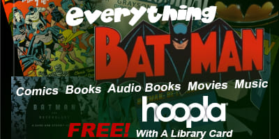 Batman-Hoopla_4x2