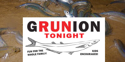 Grunion-Run_4x2