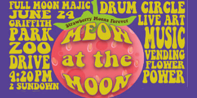 Meow-at-the-Moon_4x2