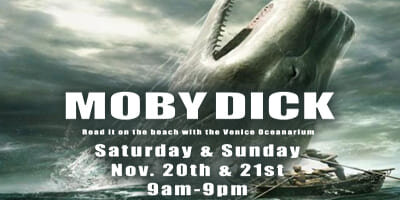 Moby-Dick-Read-along_4x2