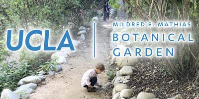 UCLA-MILDRED-E.-MATHIAS-BOTANICAL-GARDEN-_4x2