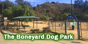 Dog-Park_Boneyard_4x2