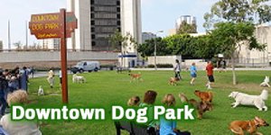 Dog-Park_DTLB_4x2