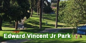 Dog-Park_Ed-Vincent-JR_4x2