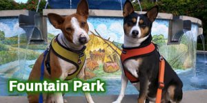 Dog-Park_Fountain-Park_4x2