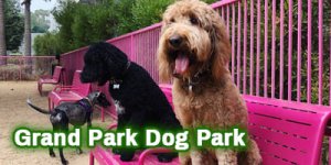 Dog-Park_Grand-Park-Dog-Park_4x2