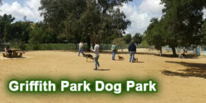 Dog-Park_Griffith-Park_4x2