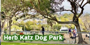 Dog-Park_Herb-Katz_4x2