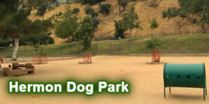 Dog-Park_Hermon_4x2