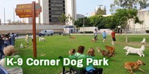 Dog-Park_K9 _4x2