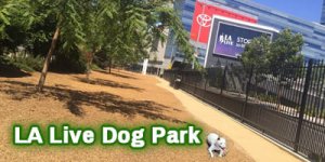 Dog-Park_LA-Live_4x2