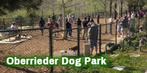 Dog-Park_Oberrieder-Dog-Park_4x2