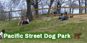 Dog-Park_Pacific-Street-Dog-Park_4x2