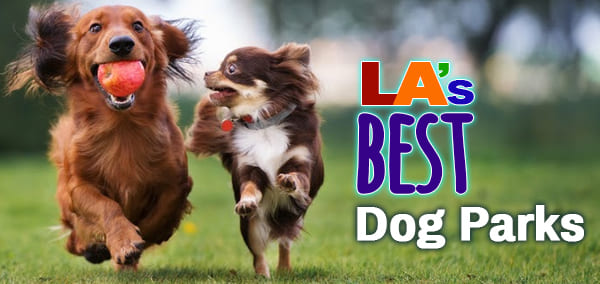 POST-LA's-Best-Dog-Parks