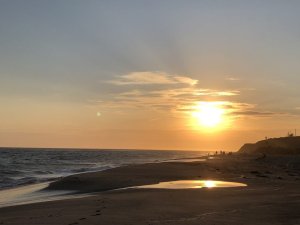 POST-Pet-Friendly-Beaches-Staircase-Beach