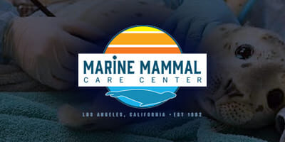 Marina-Mamal-Care-Center-LA_4x2