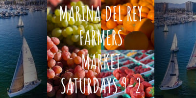 Marina-del-Rey-Farmers-Market_4x2