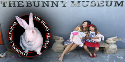 The-Bunny-Museum_4x2