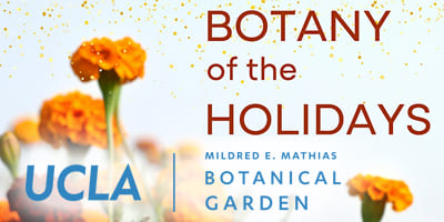 UCLA-Botany-of-the-Holidays_4x2